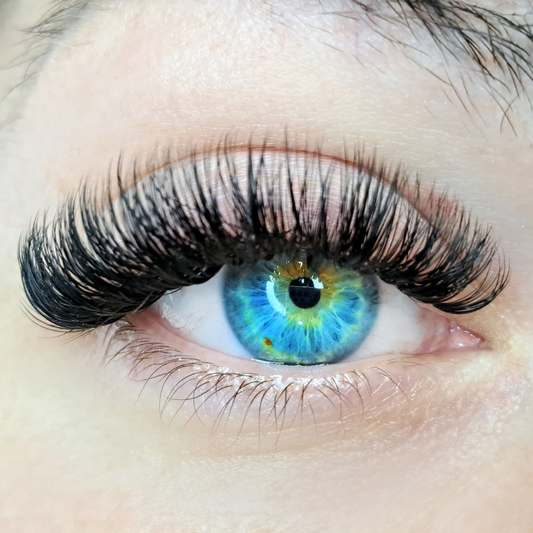 Hybrid Eyelash Extension Fill